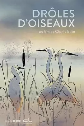 亚洲a视频在线观看
