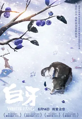 91啦视频在线