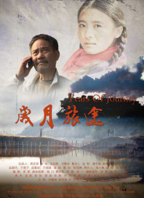 婷婷资源综合