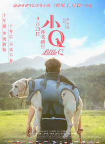成人禁啪啪网站