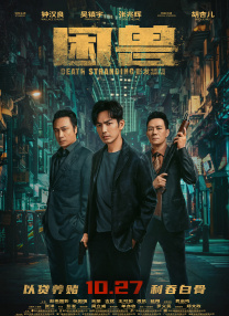 在线不卡的av